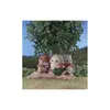 Sylvanian Families 5620, 3 Jahr(e), Mehrfarbig, Produktbild-Vorschau 10