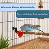 Beckentränke Küken Nager Hasen Hühner Geflügel Wasser Produktbild-Vorschau 3