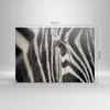 Bild auf Leinwand - Leinwandbild - Zebra Streifen Tierwelt Produktbild-Vorschau 3