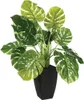 Umělá rostlina MONSTERA, 70 cm Náhled obrázku produktu 1
