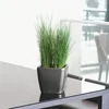 A potted plant on a dark table in a modern interior. Náhled obrázku produktu