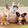 FurReal Friends furReal Walk-A-Lots Kätzchen interaktives Produktbild-Vorschau 11
