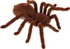 Aga Diaľkovo ovládaný pavúk TARANTULA hnedý Náhľad obrázku produktu 4