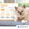 Alfavet FeliGum Hairball 40 g | Kaudrops für Katzen | Produktbild-Vorschau 5