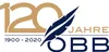 OBB Daunendecke 120 Jahre Winterdecke Kassettendecke warm Produktbild-Vorschau 4