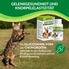 Artipet, suplement diety dla psów na stawy | 180 tabletek Podgląd zdjęcia produktu 5