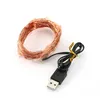 10M bílé LED měděné dráty pohádkové světla USB vánoční Náhled obrázku produktu 2
