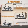 Draixcor M300 E-Citybike Elektro-Dreirad 24 Zoll, 250W Produktbild-Vorschau 8