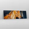 Bild auf Leinwand - Leinwandbild - Pferd Natur Tier - Produktbild-Vorschau 4