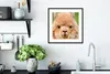 MuchoWow® Gerahmtes Poster Alpaka - Wolle - Braun 40x40 cm Produktbild-Vorschau 4