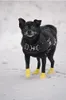 Pawz wasserfeste Hundeschuhe aus Naturkautschuk im Produktbild-Vorschau 10