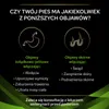 PURINA Pro Plan Veterinary Diets HA Hypoallergenic Dog 3kg Podgląd zdjęcia produktu 3