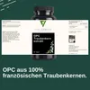 Vita Elements OPC Druivenpitextract 240 Capsules Productafbeelding-voorbeeld 6