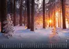 Wald - Erholung für Mensch und Tier - 2027 - Kalender DIN Produktbild-Vorschau 3