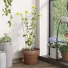 Pflanzenstützen 20 Stk. Dunkelgrün 61 cm Stahl Produktbild-Vorschau 2