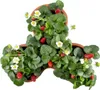 A top-down view of a tiered strawberry planter filled with strawberry plants, showing ripe strawberries, white flowers, and green leaves. Anteprima dell’immagine prodotto