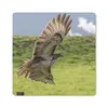 MuchoWow® Mauspad Mousepad Ein Bussard mit ausgebreiteten Produktbild-Vorschau 1