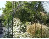 Pergola ogrodowa Podgląd zdjęcia produktu 11