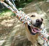 EDIBAZZAR | Anello di dentizione in corda per cani, grande, Anteprima dell’immagine prodotto 19