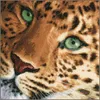 Lanarte Kreuzstichset "Leopard Aida", Zählmuster Produktbild-Vorschau 4