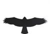 Aufkleber Vogelschutz " Bussard " 140mm 5 Stück Produktbild-Vorschau 1