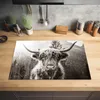 KitchenYeah© Herdabdeckplatte Schottischer Highlander - Kuh Produktbild-Vorschau 2