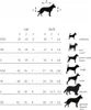 Kentucky Original Hundejacke Grün 34-38 cm Grün 34-38 cm Produktbild-Vorschau 7
