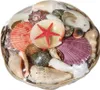 Muscheln & Seestern im Korb, ca. 15 x 5 cm, ca. 390 g Produktbild-Vorschau 1