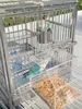 Kleiner Papageientransporter - Sicher Und Komfortabel Für Produktbild-Vorschau 4