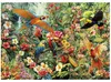 Educa - Puzzel voor volwassenen, 2000 stukjes | Vogels van Productafbeelding-voorbeeld 3