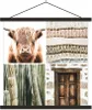 MuchoWow® Textilposter Schottisches Hochlandrind - Kaktus - Produktbild-Vorschau 1