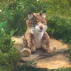 Folkmanis Bobcat Kitten, Handpuppe, Tier, 1 Stück(e) Produktbild-Vorschau 7