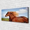 Tulup Leinwand-Bilder 125x50 Wandbild Canvas Kunstdruck Produktbild-Vorschau 2