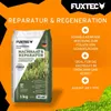 FUXTEC Rasensamen Nachsaat FX-RSNR1 | 1kg für 30m² | Produktbild-Vorschau 4