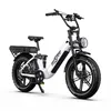 Elektrofahrrad, 250W E-Bike mit 2*18Ah herausnehmbarem Produktbild-Vorschau 4