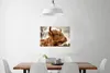 MuchoWow® Poster Scottish Highlander - Strauch - Heidekraut Produktbild-Vorschau 2