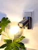 LED Steckerleuchte *ANNA* nickel matt mit 4 Watt GOLD Produktbild-Vorschau 2