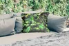 MuchoWow® Outdoor Kissen - Palmwedel - Sonne - Tropisch - Produktbild-Vorschau 2