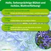 Purgrün Agapanthus Dünger | Flüssigdünger für Blütenpracht Produktbild-Vorschau 3
