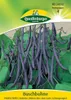 Buschbohne Purple Teepee | Buschbohnensamen von Produktbild-Vorschau 3