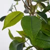 Umělá rostlina březový fíkus Ficus natasja Ø 30 H 40 cm Náhled obrázku produktu 7