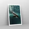 Poster - Poster ohne Rahmen - Tauchen Pinguin Gletscher - Produktbild-Vorschau 7