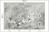 Muralo Vlies Fototapete KRANICHE Vögel Bäume Pflanzen Natur Produktbild-Vorschau 3