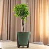 KADAX Blumentopf, Beine aus Kork + Einsatz, 34 cm, Grün Produktbild-Vorschau 7
