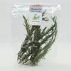Calemino Rosmarin ganze Zweige getrocknet 20g für Fleisch- Produktbild-Vorschau 1