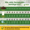 POWER HB-Nematoden gegen Dickmaulrüssler & Engerlinge, 5 Produktbild-Vorschau 5