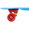 Nils Extreme - "Crude" Skateboard, Drachen-Design PP8130 Produktbild-Vorschau 28