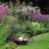 Korsch Gartenträume Kalender 2027 – Bildkalender mit viel Produktbild-Vorschau 15