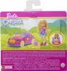Mattel Chelsea & Teddy Car Náhľad obrázku produktu 7