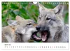 Unsere Wölfe - Ein Wildtier kehrt zurück (Wandkalender 2027 Produktbild-Vorschau 7